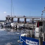 Little Starfish, Wiek