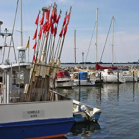 شقة Little Starfish Wiek