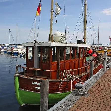 Little Starfish, Wiek